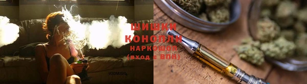 бошки Алексин