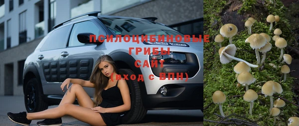 бошки Алексин