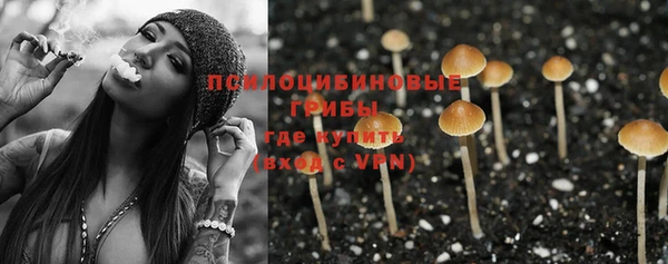 трава Алзамай
