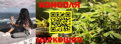 крисы Коммунар