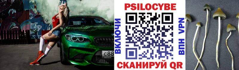 Псилоцибиновые грибы прущие грибы  Когалым 