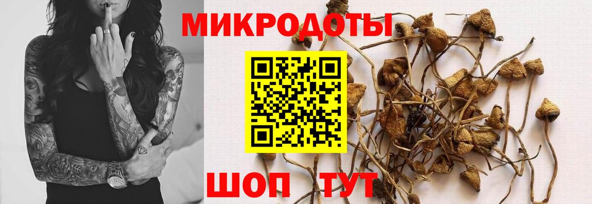 Псилоцибиновые грибы MAGIC MUSHROOMS Когалым